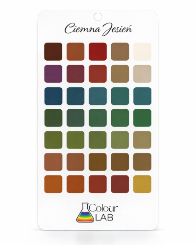 przezroczysta paletka kolorów - Ciemna Jesień.png