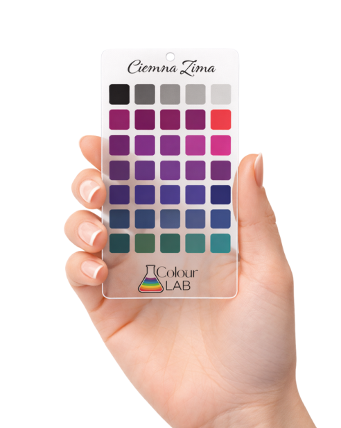 przezroczysta paletka kolorów - Ciemna Zima w dłoni.png