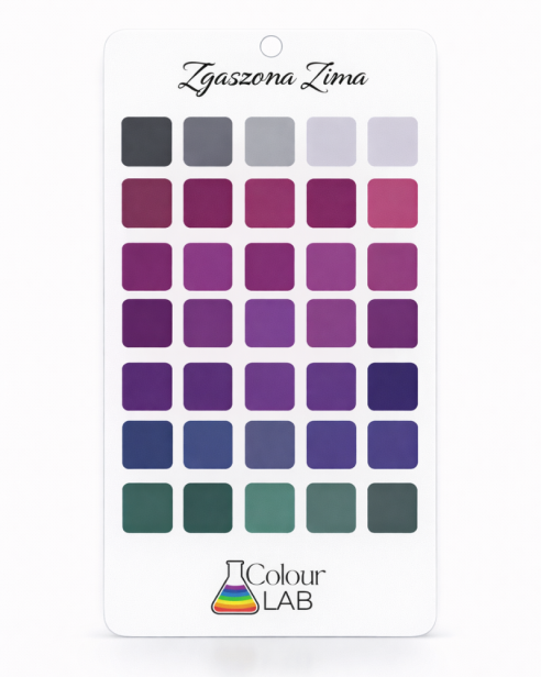 przezroczysta paletka kolorów - Zgaszona Zima.png