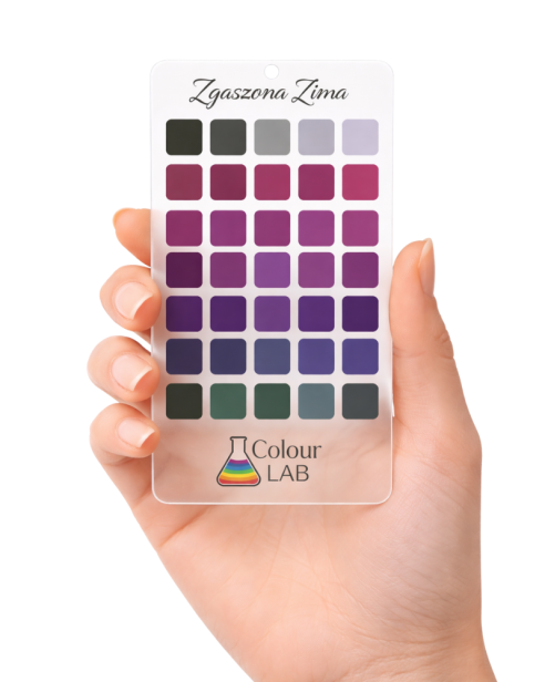 przezroczysta paletka kolorów - Zgaszona Zima w dłoni.png