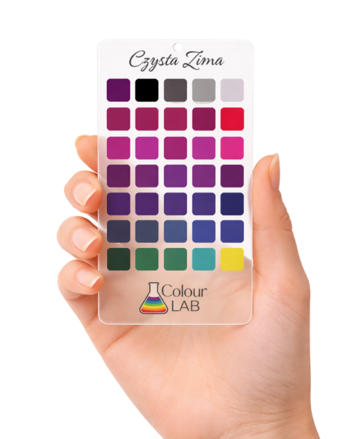 przezroczysta paletka kolorów - Czysta Zima w dłoni.png