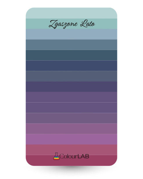 kieszonkowa paletka kolorów - Zgaszone Lato.png