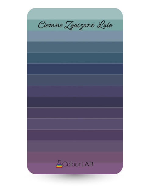 kieszonkowa paletka kolorów - Ciemne Zgaszone Lato.png