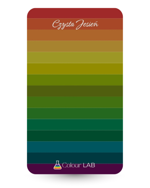 kieszonkowa paletka kolorów - Czysta Jesień.png