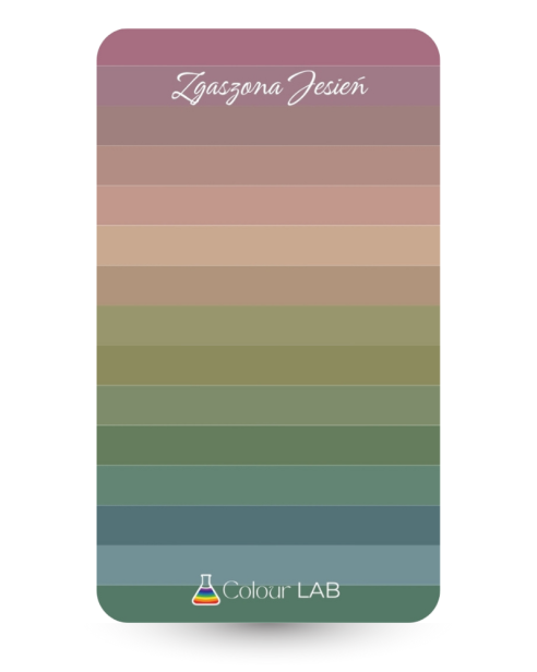 kieszonkowa paletka kolorów - Zgaszona Jesień.png