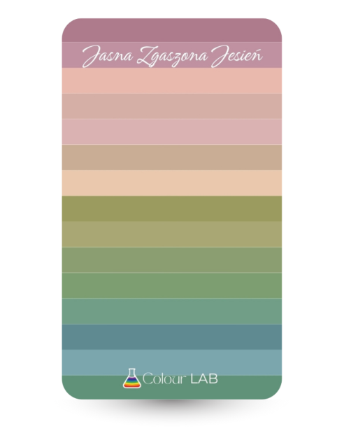 kieszonkowa paletka kolorów - Jasna Zgaszona Jesień.png