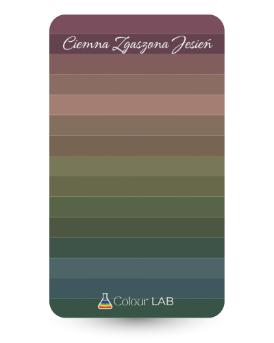 kieszonkowa paletka kolorów - Ciemna Zgaszona Jesień.png