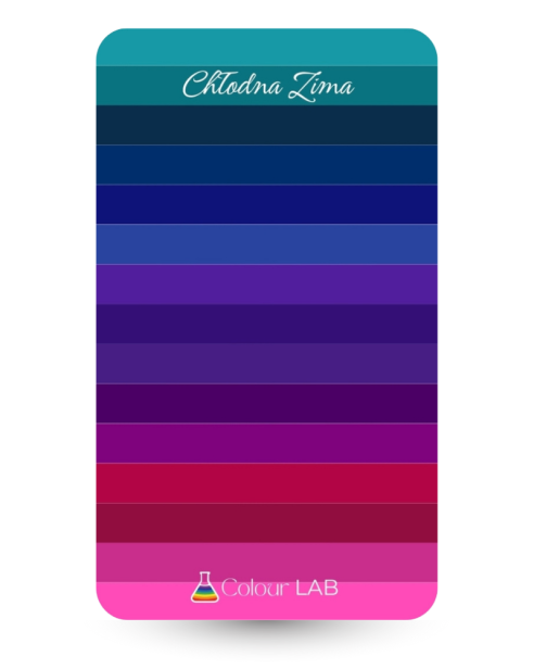 kieszonkowa paletka kolorów - Chłodna Zima.png