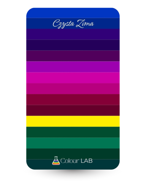 kieszonkowa paletka kolorów - Czysta Zima.png