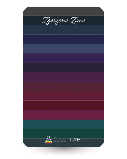 kieszonkowa paletka kolorów - Zgaszona Zima.png