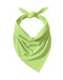 ColourMe! - wiskoza Sap Green.png