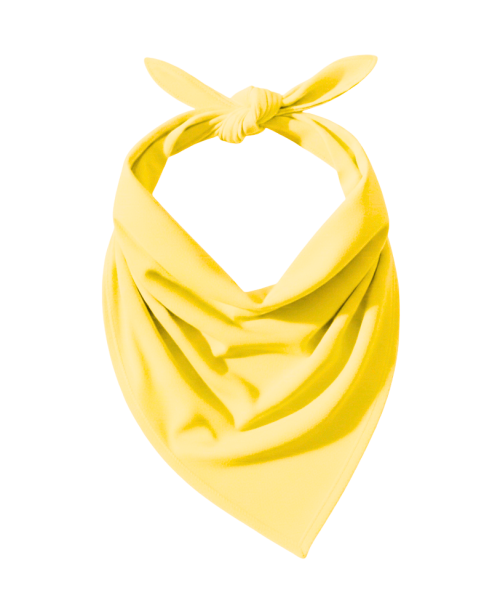 ColourMe! - wiskoza Samoan Sun.png