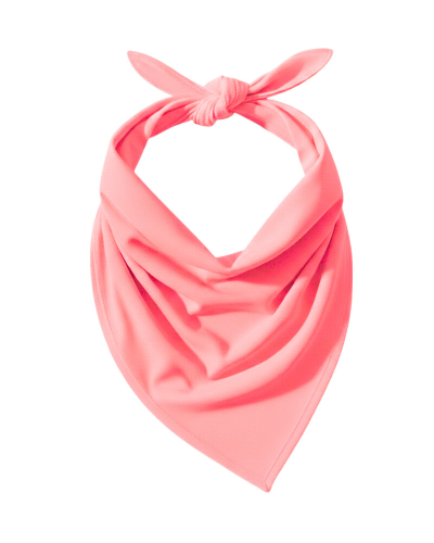 ColourMe! - wiskoza Tea Rose.png