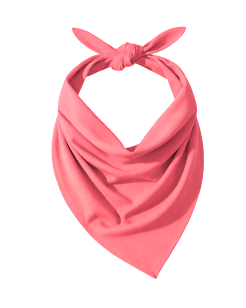 ColourMe! - bambus Holly Berry.png