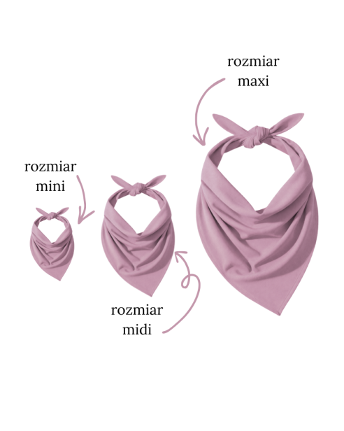 ColourMe! - wiskoza Grape Shake - 3 warianty.png