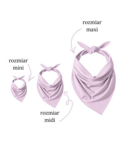 ColourMe! - wiskoza Fair Orchid - 3 warianty.png