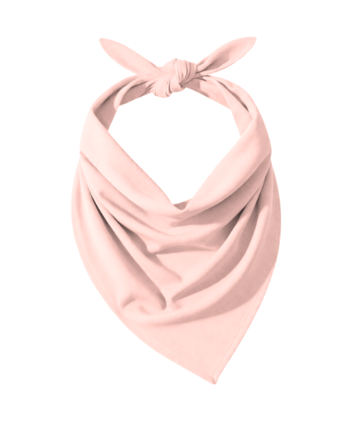 ColourMe! - bambus Misty Rose.png