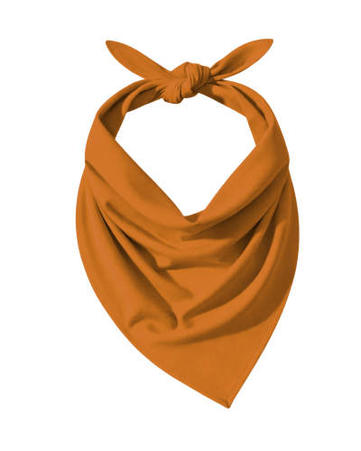 ColourMe! - bambus Golden Ochre.png