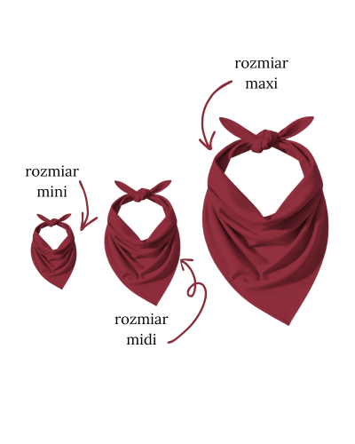 ColourMe! - wiskoza Red Bud - 3 warianty.png