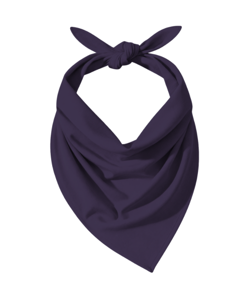 ColourMe! - wiskoza Blackberry Cordial.png