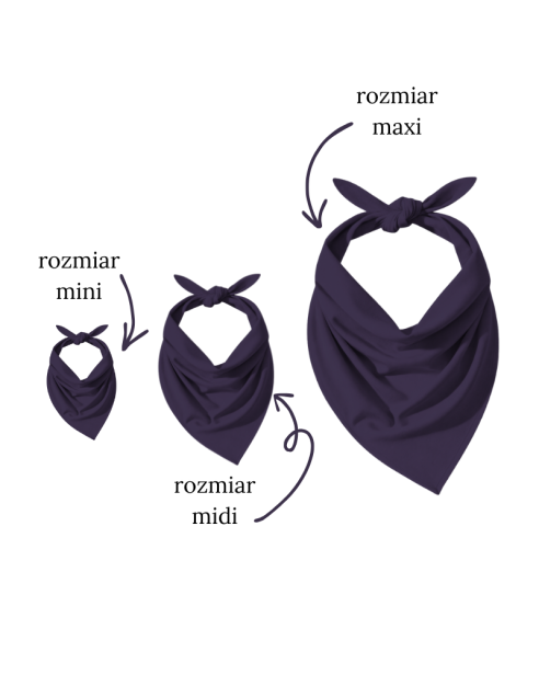 ColourMe! - wiskoza Blackberry Cordial - 3 warianty.png